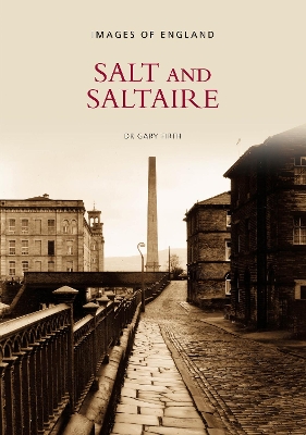 Book cover for Salt & Saltaire