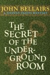 Book cover for The Secret of the Underground Room