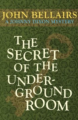 Book cover for The Secret of the Underground Room
