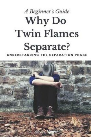 Cover of Understanding Twin Flame Separation