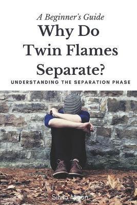 Book cover for Understanding Twin Flame Separation