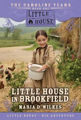 Cover of Little House in Brookfield