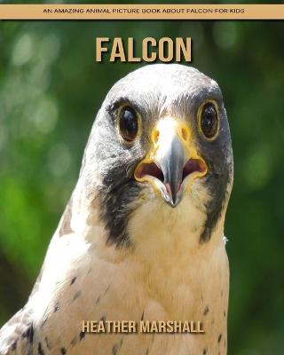 Book cover for Falcon