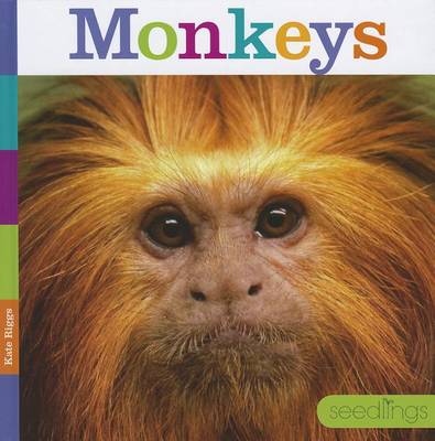 Cover of Monkeys