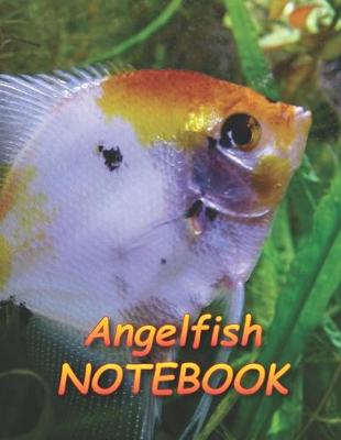 Cover of Angelfish NOTEBOOK