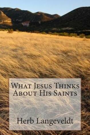 Cover of What Jesus Thinks about His Saints !!!