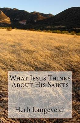 Book cover for What Jesus Thinks about His Saints !!!