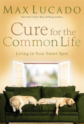 Book cover for Cure for the Common Life
