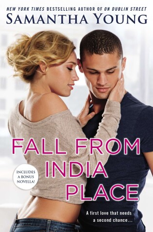 Cover of Fall From India Place