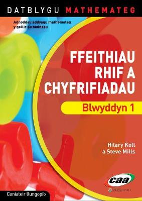 Book cover for Datblygu Mathemateg: Ffeithiau Rhif a Chyfrifiadau Blwyddyn 1