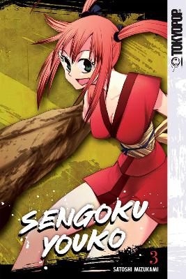 Book cover for Sengoku Youko, Volume 3