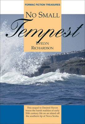 Cover of No Small Tempest