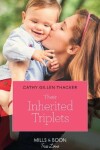 Book cover for Their Inherited Triplets