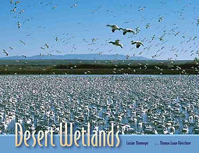 Book cover for Desert Wetlands