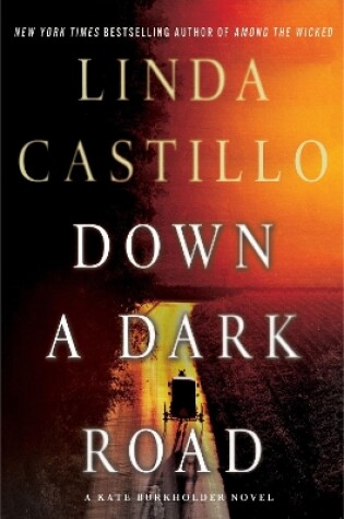 Cover of Down a Dark Road