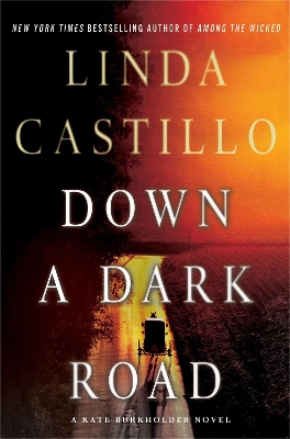 Book cover for Down a Dark Road