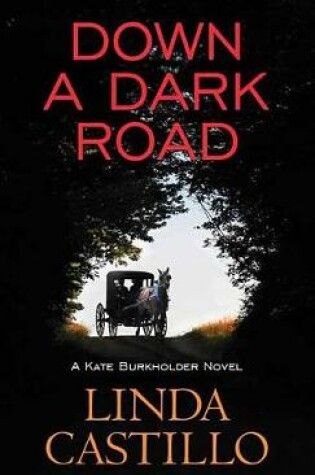 Cover of Down A Dark Road