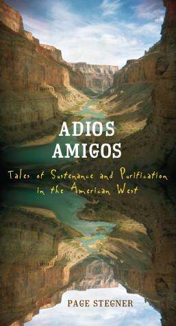 Book cover for Adios Amigos