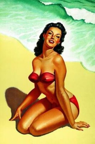 Cover of Pin-up Beauty on the Beach
