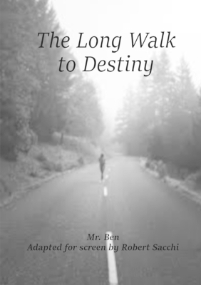 Book cover for The Long Walk to Destiny