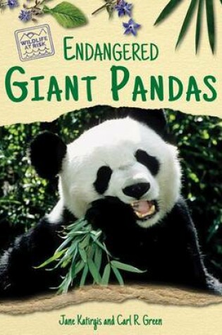Cover of Endangered Giant Pandas
