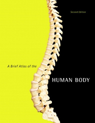 Book cover for Brief Atlas of the Human Body, A