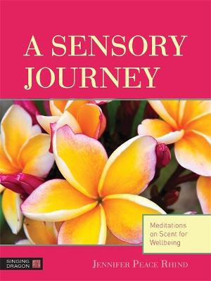 Book cover for A Sensory Journey