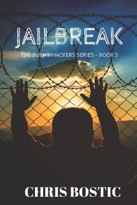 Book cover for Jailbreak
