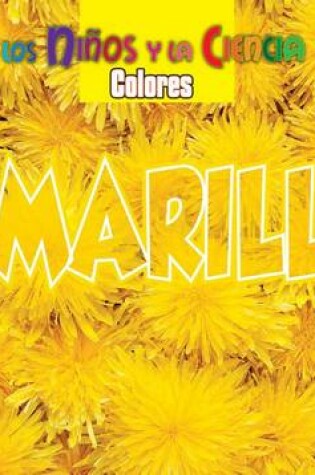 Cover of Amarillo