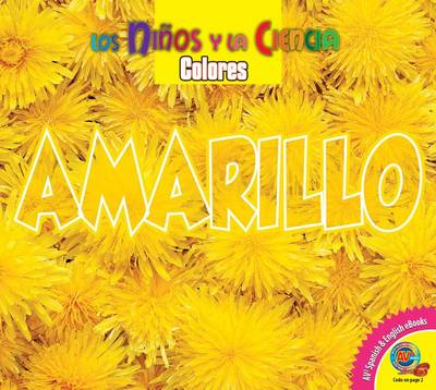 Book cover for Amarillo