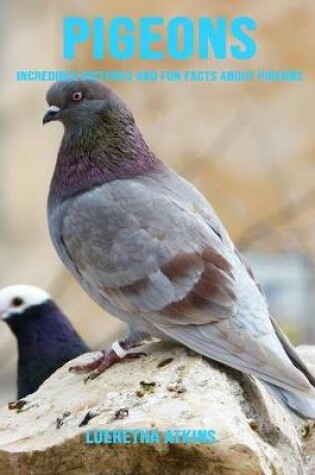 Cover of Pigeons