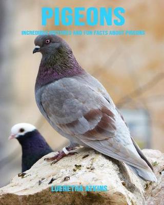 Book cover for Pigeons