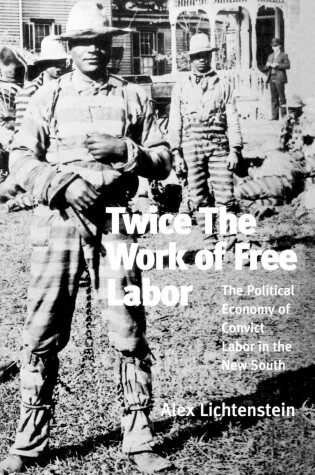 Cover of Twice the Work of Free Labor