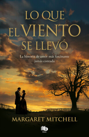 Book cover for Lo que el viento se llevó / Gone with the Wind