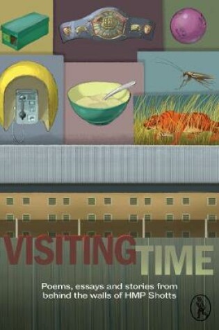 Cover of Visiting Time