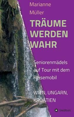 Book cover for Traume Werden Wahr