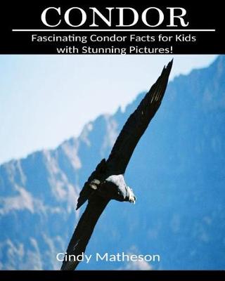 Book cover for Condor