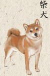 Book cover for Shiba Notebook