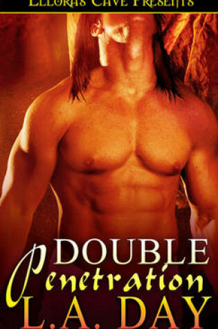 Cover of Double Penetration