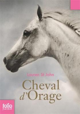 Book cover for Cheval d'orage 1