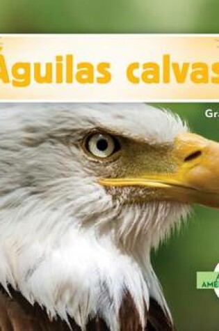 Cover of Aguilas Calvas (Bald Eagles)