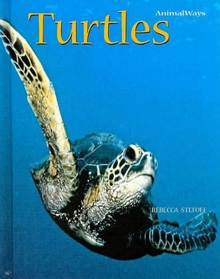 Book cover for Turtles