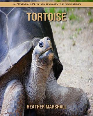 Book cover for Tortoise