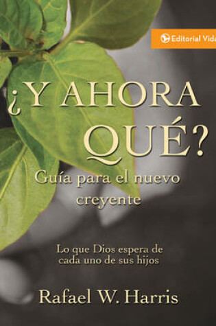 Cover of 'Y Ahora Que?