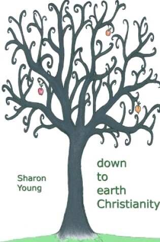Cover of Down to Earth Christianity