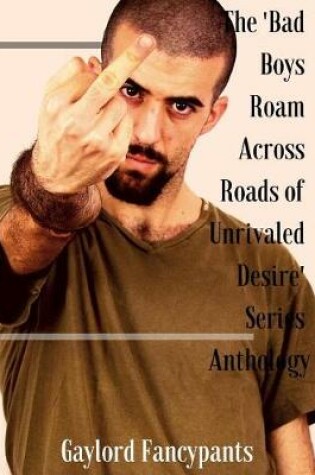 Cover of The 'Bad Boys Roam Across Roads of Unrivaled Desire' Series Anthology