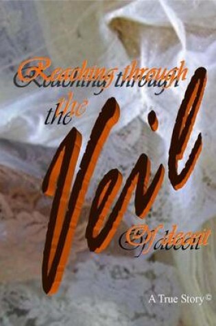 Cover of Reaching Through The Veil of Deceit