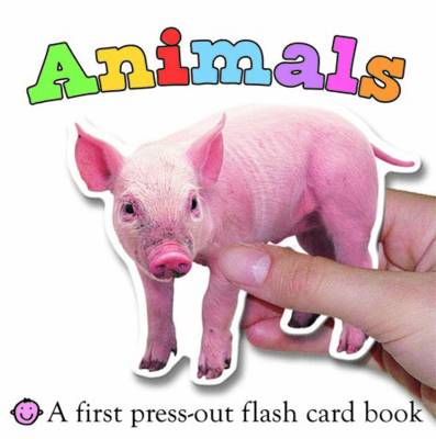 Book cover for Animals Flash Cards Book