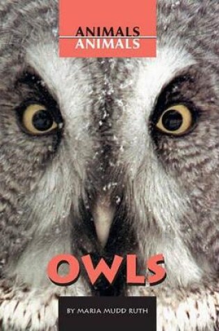 Cover of Owls