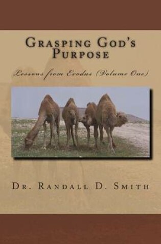 Cover of Grasping God's Purpose (I)